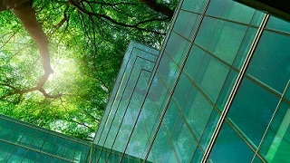 A building with green windows and a tree.