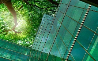 Un bâtiment avec des fenêtres vertes et un arbre.