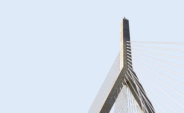 Suspension wires of a suspension bridge