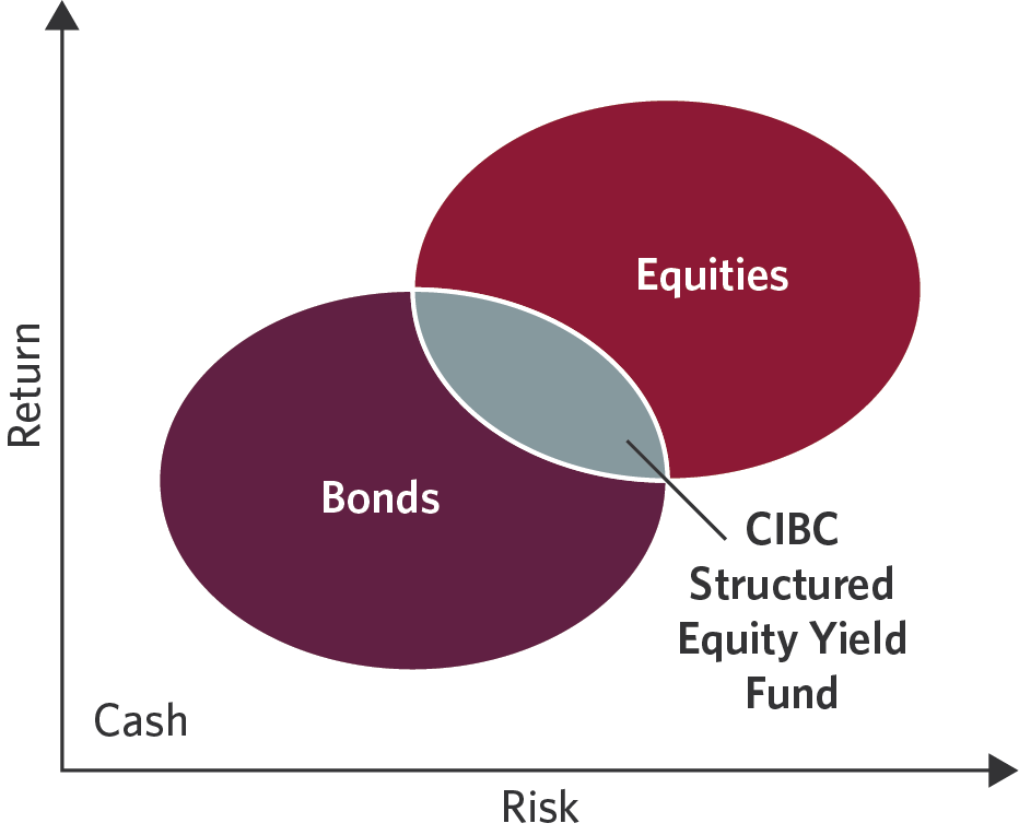 CIBC Structured Equity Yield Fund portfolio fit image